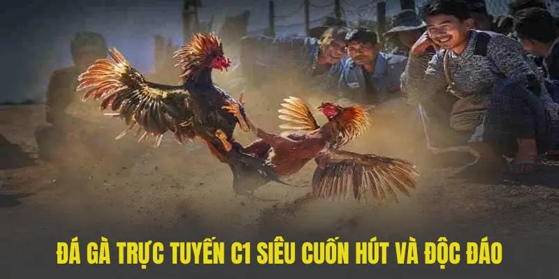 đá gà C1 188bet